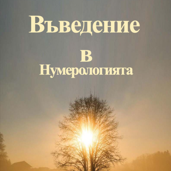 Наръчник по Нумерология: Малка Книга за Начинаещи