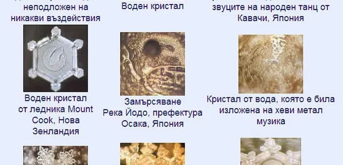 всд-0906198
